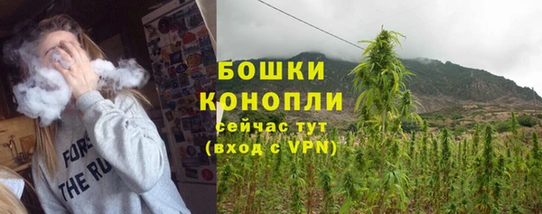 трава Костерёво